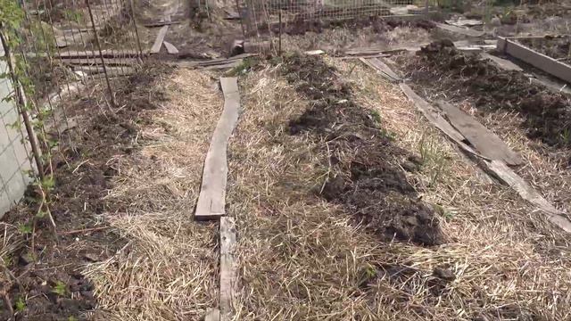 Цветник в конце апреля. Огород и теплица. смотреть онлайн