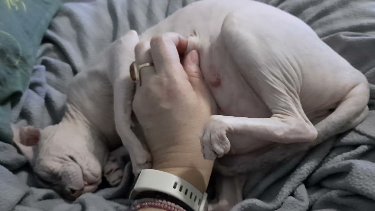 Ася в нерване смотреть онлайн