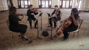 Paradise - Coldplay (String Quartet Cover)