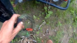 Такие шаклы для троса должны быть у каждого.