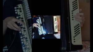 игра на баяне (во поле береза стояла)