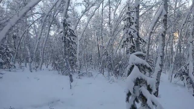 Зимнее видео по просьбе зрителей. смотреть онлайн