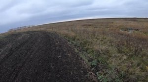 УДАЧНАЯ ОХОТА НА УТКУ! ОХОТА С ПОДХОДА 2019 МР155