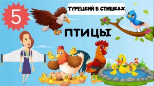 Турецкий для детей и взрослых в стишках. Урок 5. Птицы и пернатые в турецком