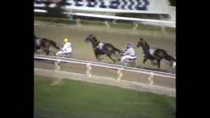 1988 Interdominion Final