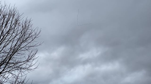 Утки улетают на ЮГ 22.10.2022 смотреть онлайн