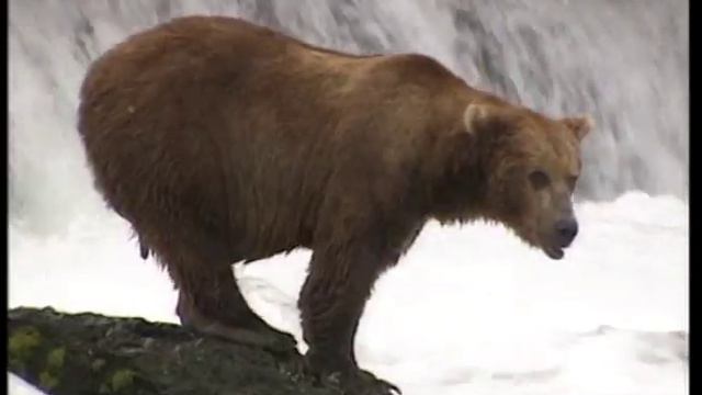 Аляска Штат США 03 Хомер Homer, Alaska Coldfoot смотреть онлайн