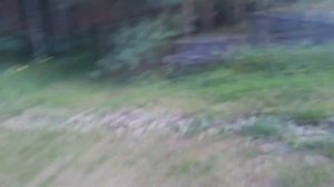 Моё путешествие в конно-спортивную базу отдыха "Сумбулово"