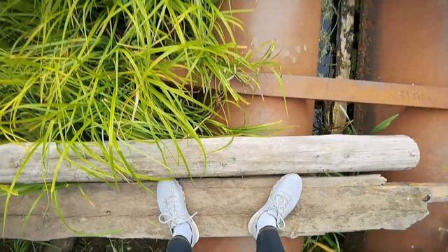 БАЖОВСКАЯ ВЕРСТА 2022 | Пешая прогулка в Сысерти смотреть онлайн