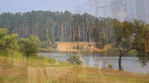 Гребнево. Фрязино.