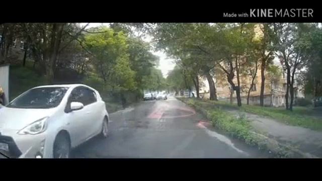 «У нас полгорода таких»: поступок молодой пары возмутил жителей Приморья