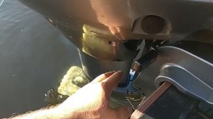 Строим мотор на воде и немного про Reef Triton 420