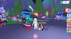 Встреча с друзьями в адопт ми Роблокс Adopt Me Roblox