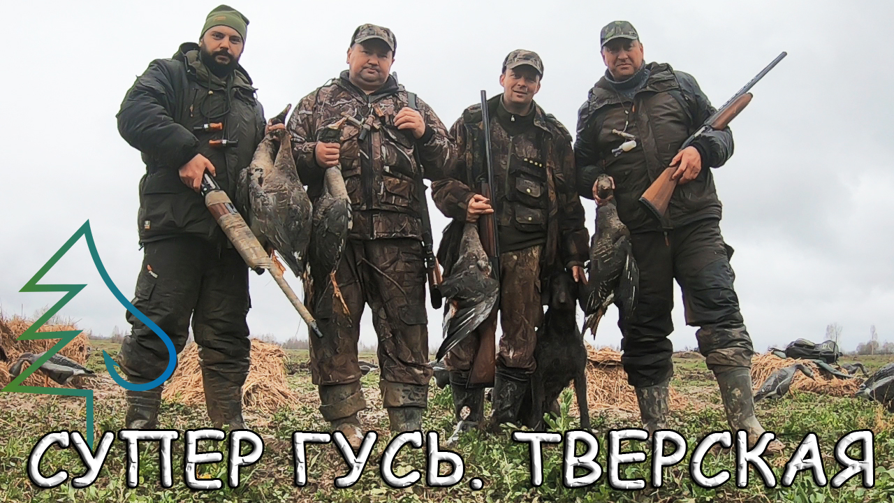 Гусь и быт! Охота на гуся весной на поле Тверской области. Открытие охоты на гуся и другие дни.