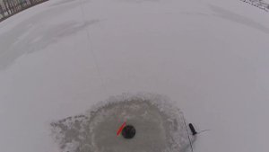 Ловля щуки на вибы