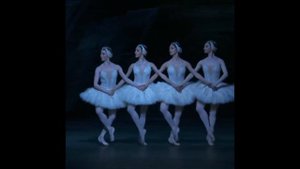 Swan Lake 2018 Dance of the Cygnets