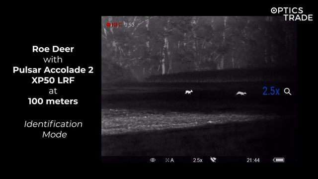 Pulsar Accolade 2 LRF and Roe Deer at 60-100 meters | Optics Trade See Through смотреть онлайн