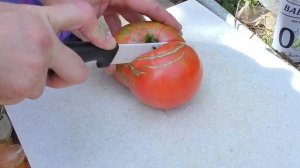 КАК сделать своими руками ШИКАРНЫЙ земляной ТАНДЫР и приготовить УТОК