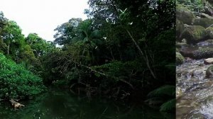 1 час. Успокаивающий звук ручья. Лесной ручей, Шум воды. Звуки природы. Пение птиц. Релакс