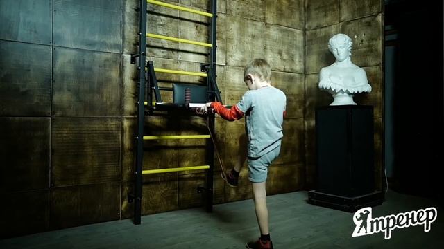 Шведская Стенка Купить: Отжимание на брусьях смотреть онлайн