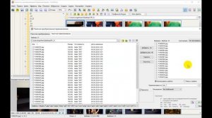 FastStone Image Viewer — меняем названия фотографий. Пакетная обработка — мгновенный результат