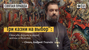 Пандемия, перепись и покаяние..Протоиерей Андрей Ткачёв.