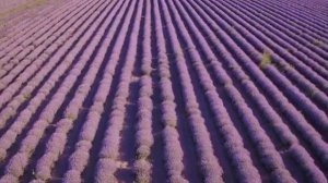 История из жизни Пророка Мухаммада  ﷺ.