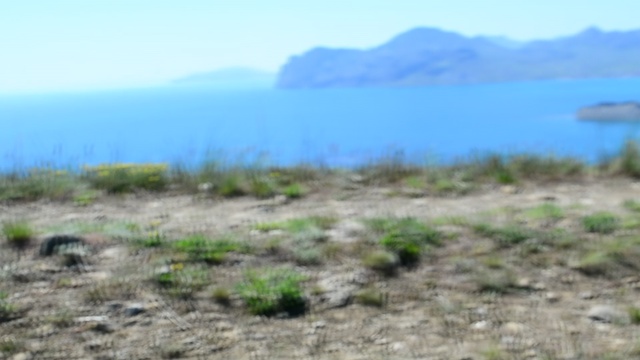 DSC_3476 смотреть онлайн