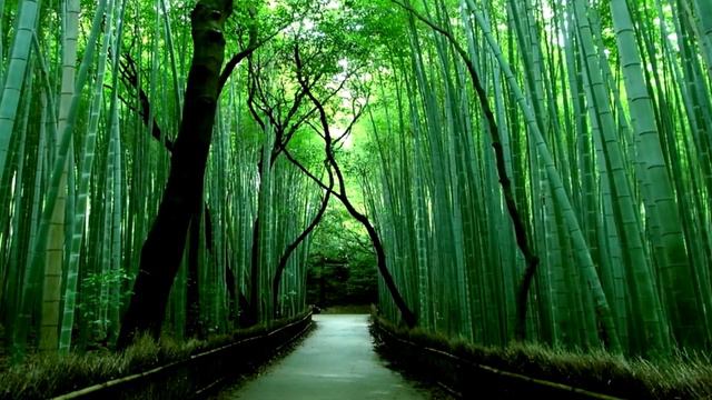 Красивая, нежная мелодия !! смотреть онлайн