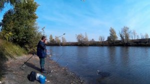 Лов карася на ерике в Астраханской области на донку.