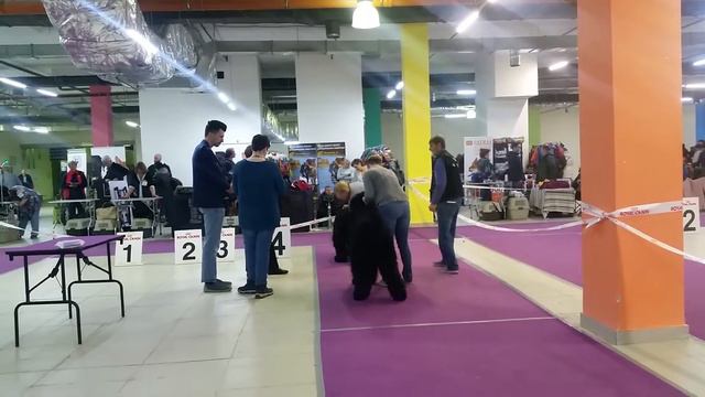 3 марта 2019 г. Сравнение на ЛЮ и ЛПП ч2 смотреть онлайн