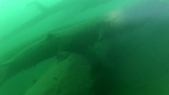 Озеро Рица (Дайвинг) смотреть онлайн