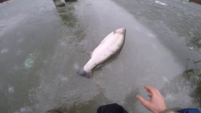 До чего дошёл прогресс смотреть онлайн