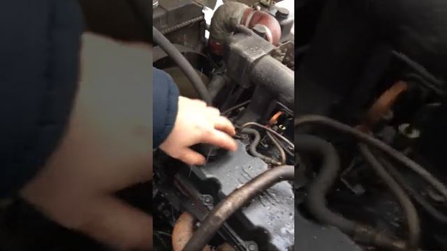 Бав феникс 1065