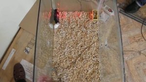 Тестирование "Град А-1000 ПРО" на мышей в беззвучном режиме (только ультразвук)