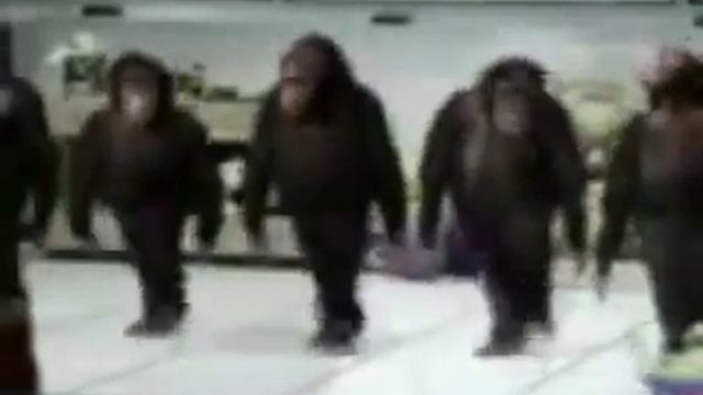 " ЖИВОТНЫЕ "ЖГУТ"" смотреть онлайн