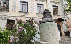 Сирень. Владивосток