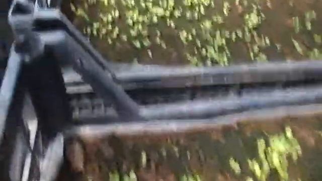 Рассада , всходы- гибнут, почему? смотреть онлайн