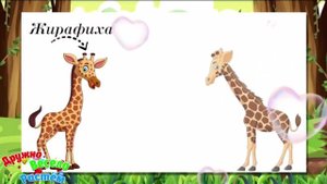 Дикие животные и их детёныши ???