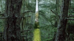 Образы природы в музыке П.И.Чайковского