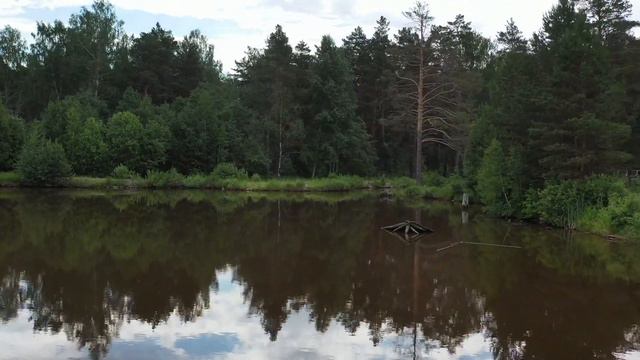 Тимофеевский пруд, Свердловская область