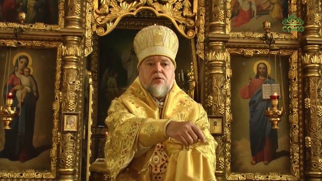 Петропавловский кафедральный собор Клинцов отметил престольный праздник смотреть онлайн