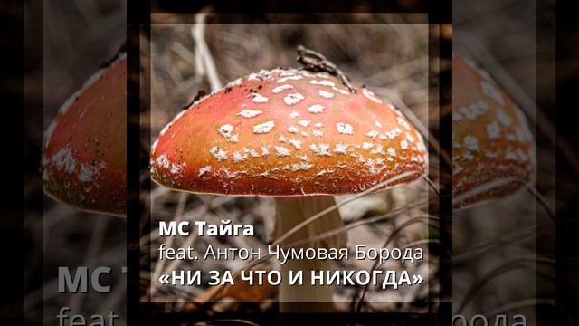 Утренняя мантра о траве и валенках (Румак шувар так...