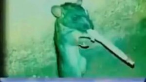 Change Da World My Final Message (Instrumental)