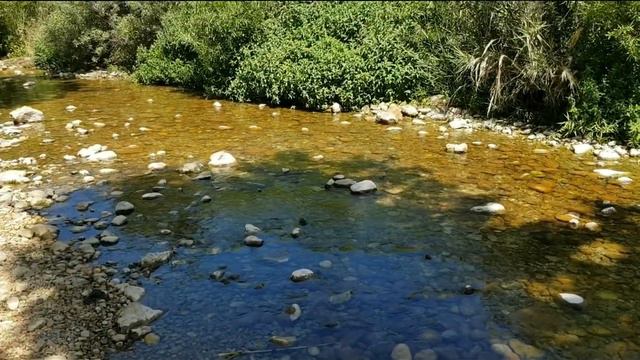 Walk along the river Kziv. North of Israel.Прогулка по реке Кзив. Север Израиля.מסלול נחל כזיב.ישרא смотреть онлайн