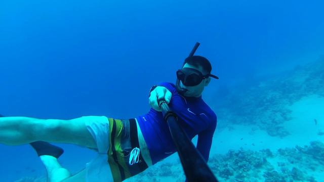 Снорклинг в Египте ч.3 \ Egypt freediving part 3 (snorkeling & apnoea and diving)