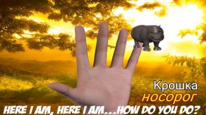 Семья пальчиков животные джунглей Детские песни на русском