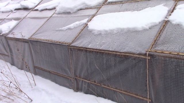 Про армированную пленку на парниках смотреть онлайн