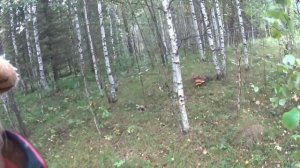 Экстимальное путешествие по омской области