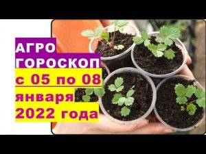 Агрогороскоп с 05 по 08 января 2022 года